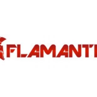 Flamantis Test – Die Erfahrungen unseres Experten